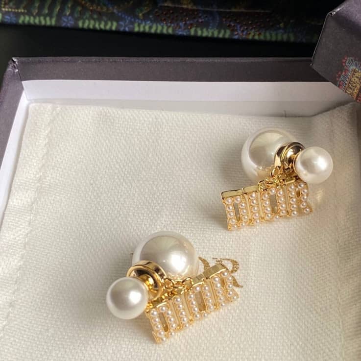 Fake Chr1st1an D10r Logo Earring