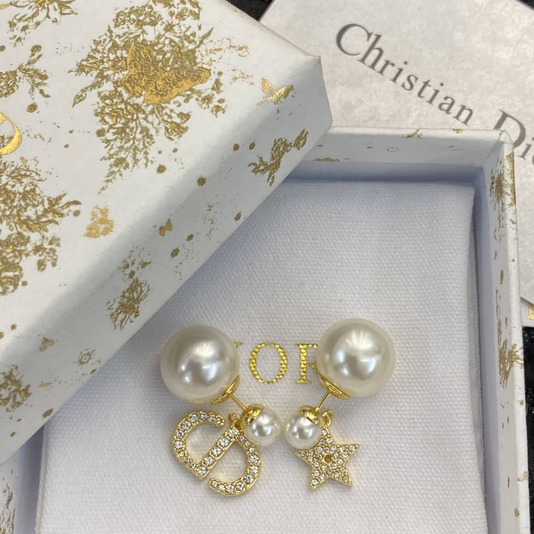 Fake Chr1st1an D10r Logo Earring