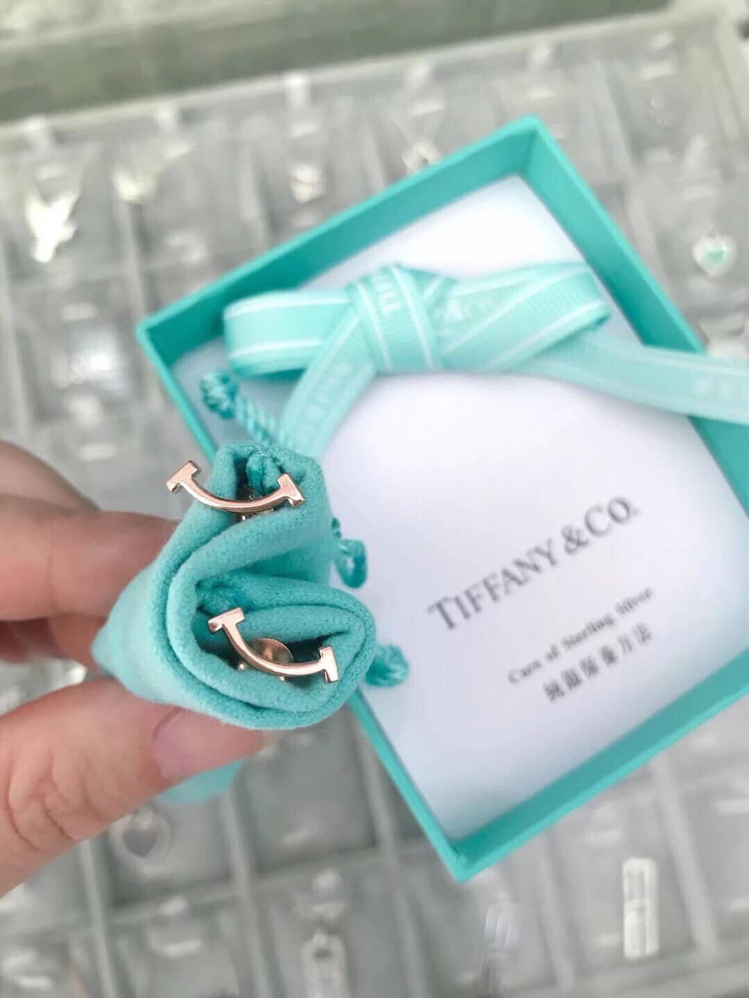 Luxury T*f*ny Classic AAA+ Earring