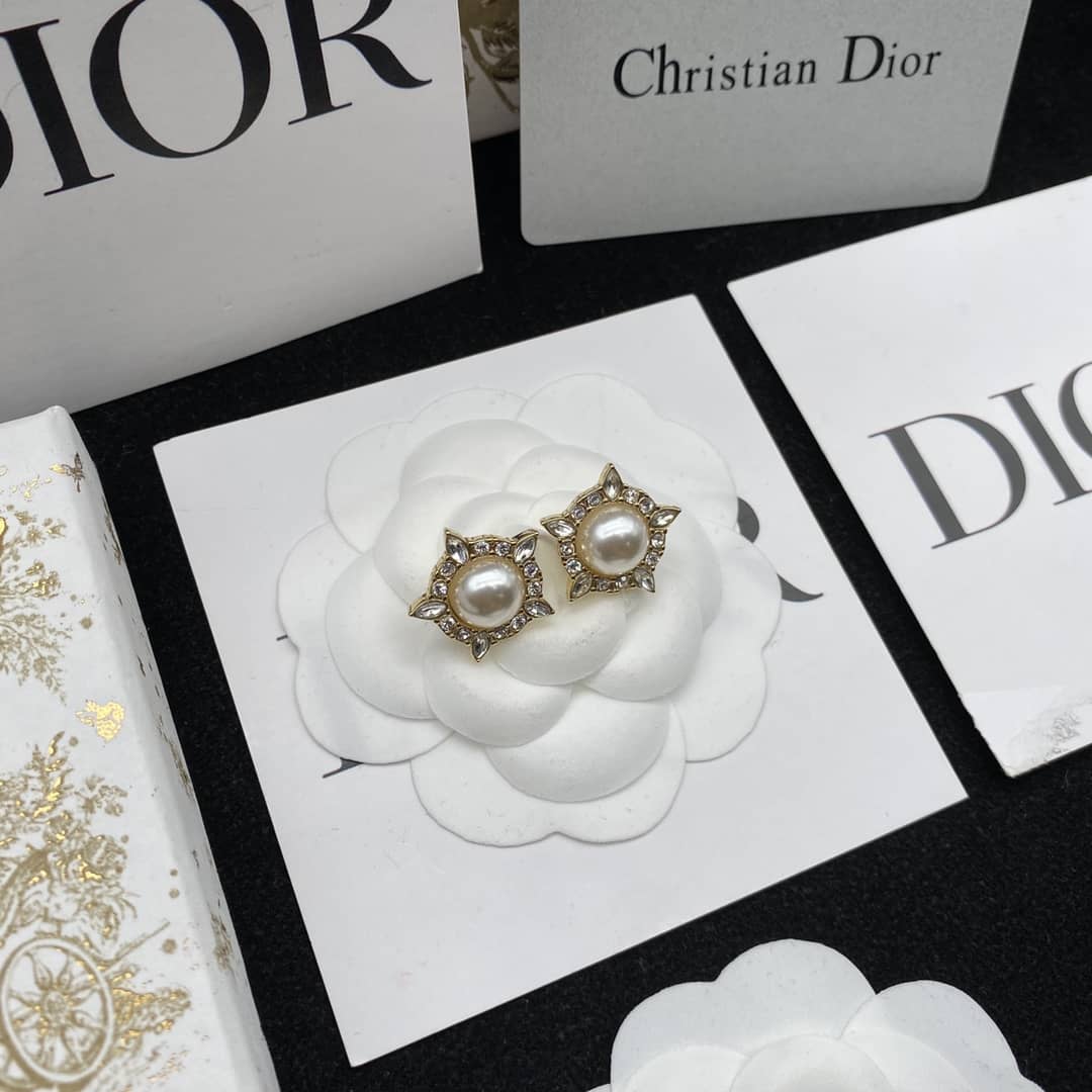 Luxury Chr1st1an D10r Classic AAA+ Earring