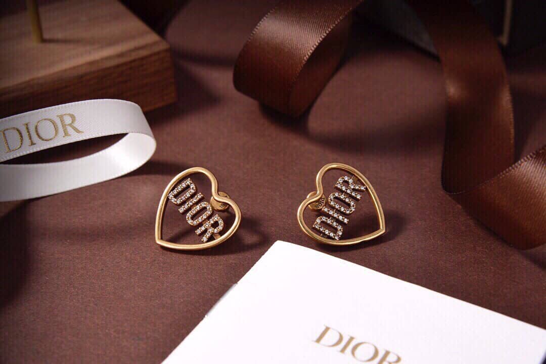 Fake Chr1st1an D10r Logo Earring