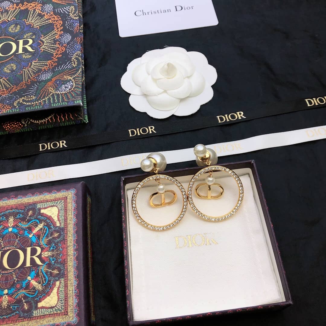 Fake Chr1st1an D10r Logo Earring