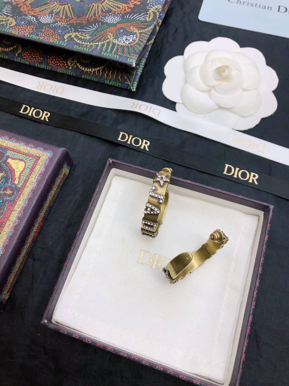 Wholesale Chr1st1an D10r AAA+ Earring