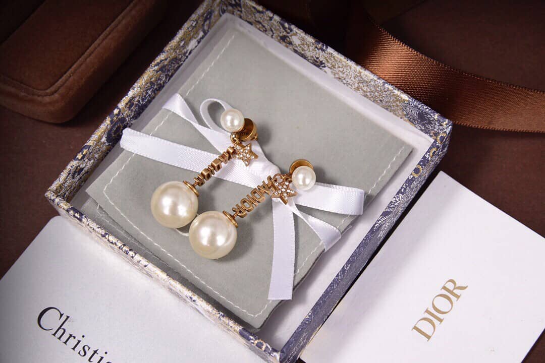 Chr1st1an D10r Earring Copy