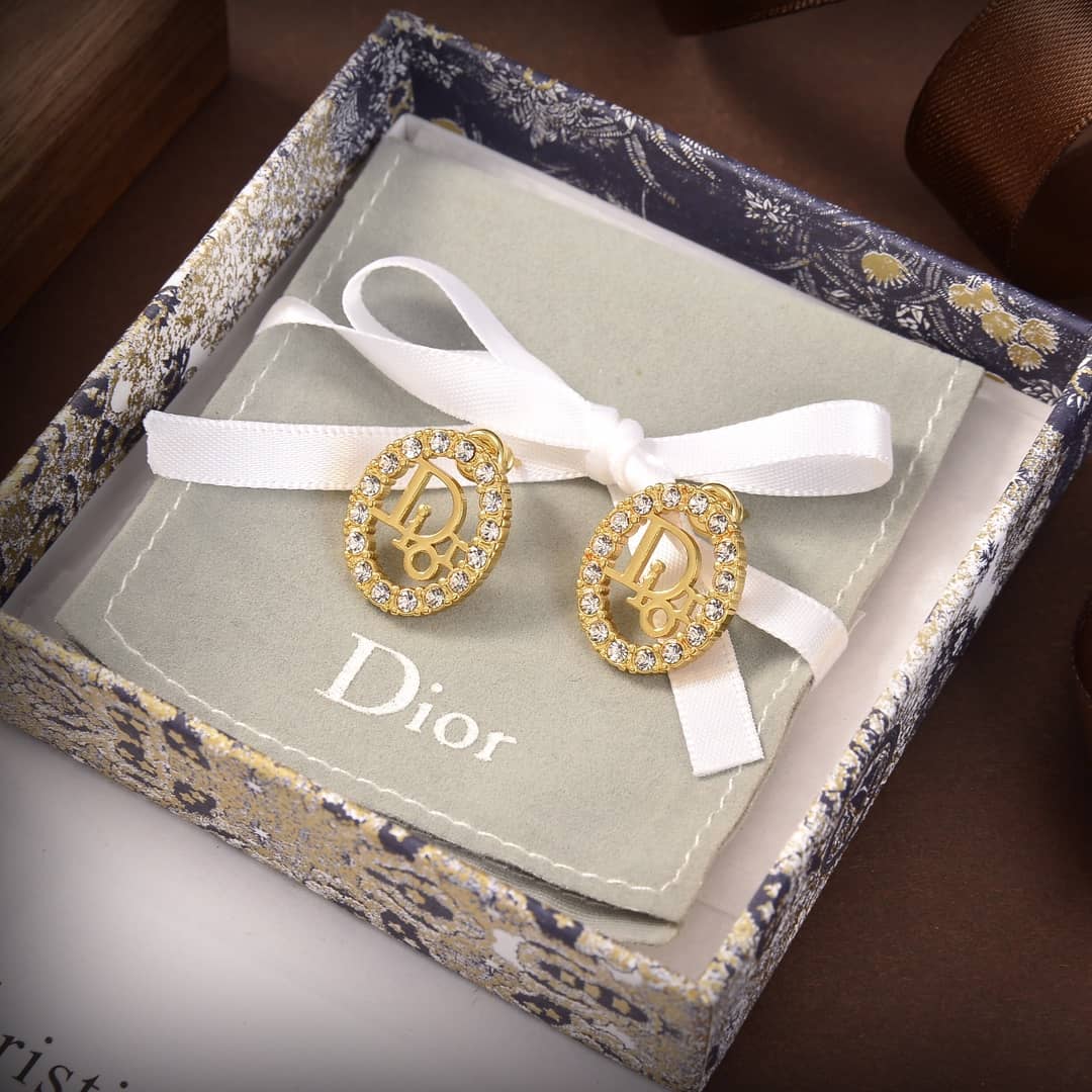 Fake Chr1st1an D10r Logo Earring