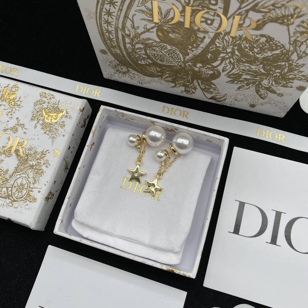 Fake Chr1st1an D10r Logo Earring
