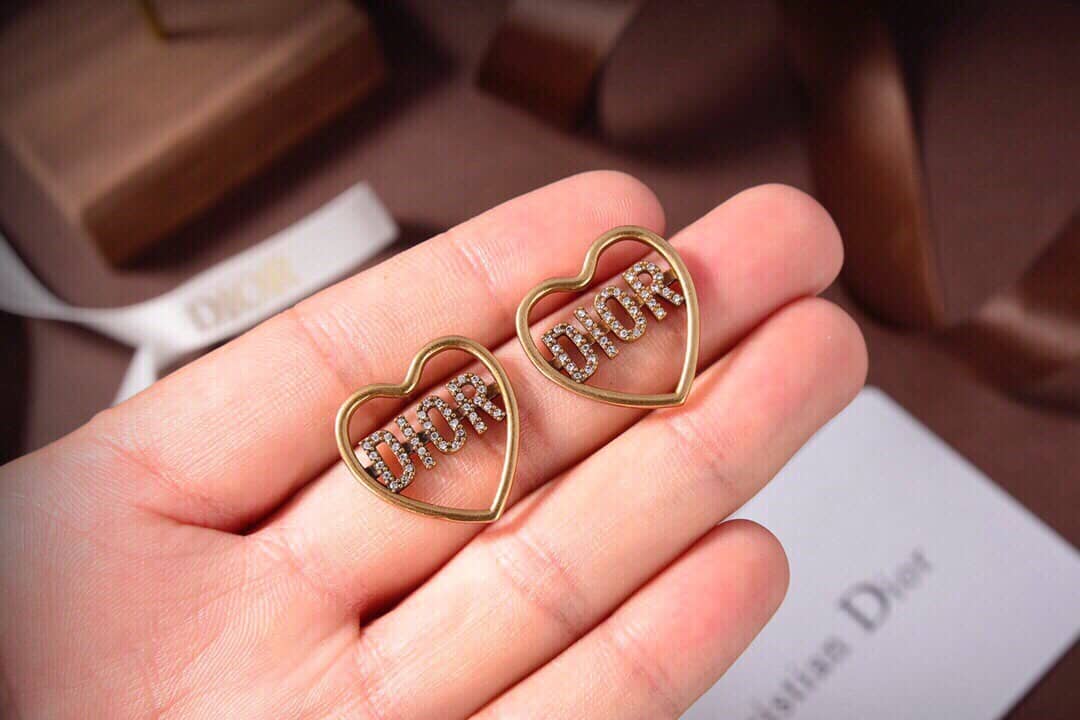Fake Chr1st1an D10r Logo Earring
