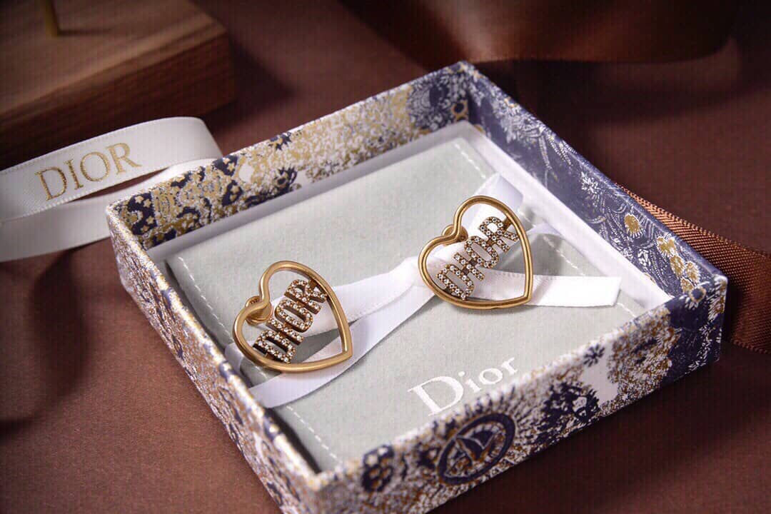 Fake Chr1st1an D10r Logo Earring