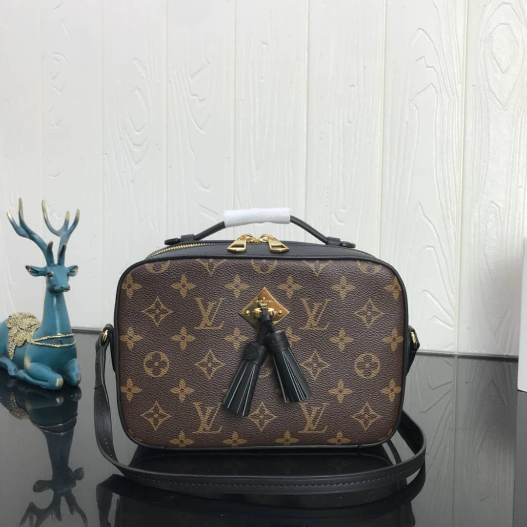L0vis Vvtt0n Canvas Saintonge Replica Camera Bag Black M43555