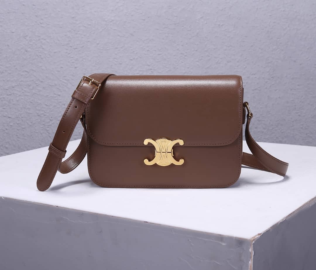 Ce1i*e Bag Dupe Triomphe Micro Luggage