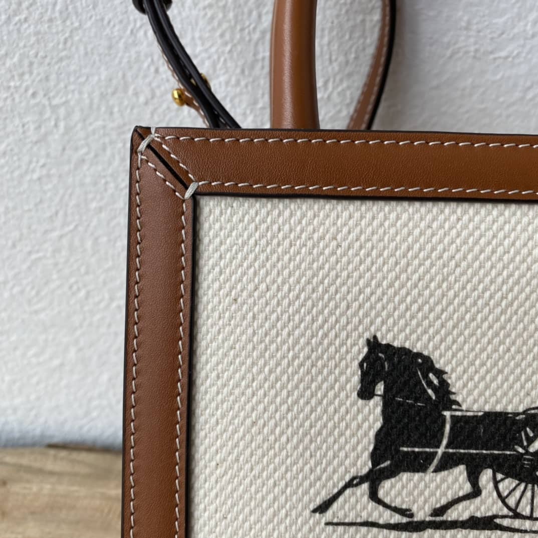 Ce1i*e Triomphe Canvas Calfskin Mini Vertical Cabas Replica Bag