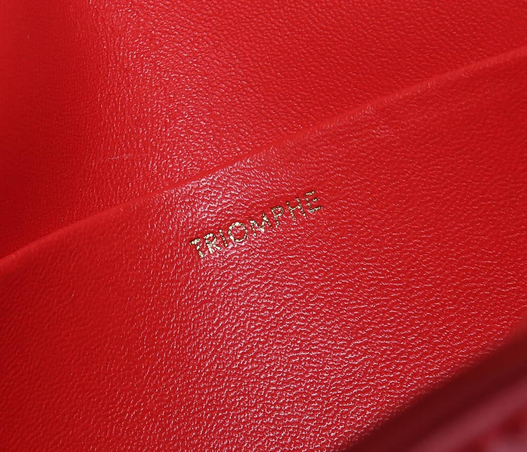 Ce1i*e Bag Dupe Triomphe Micro Luggage 18.5CM Replica Bag
