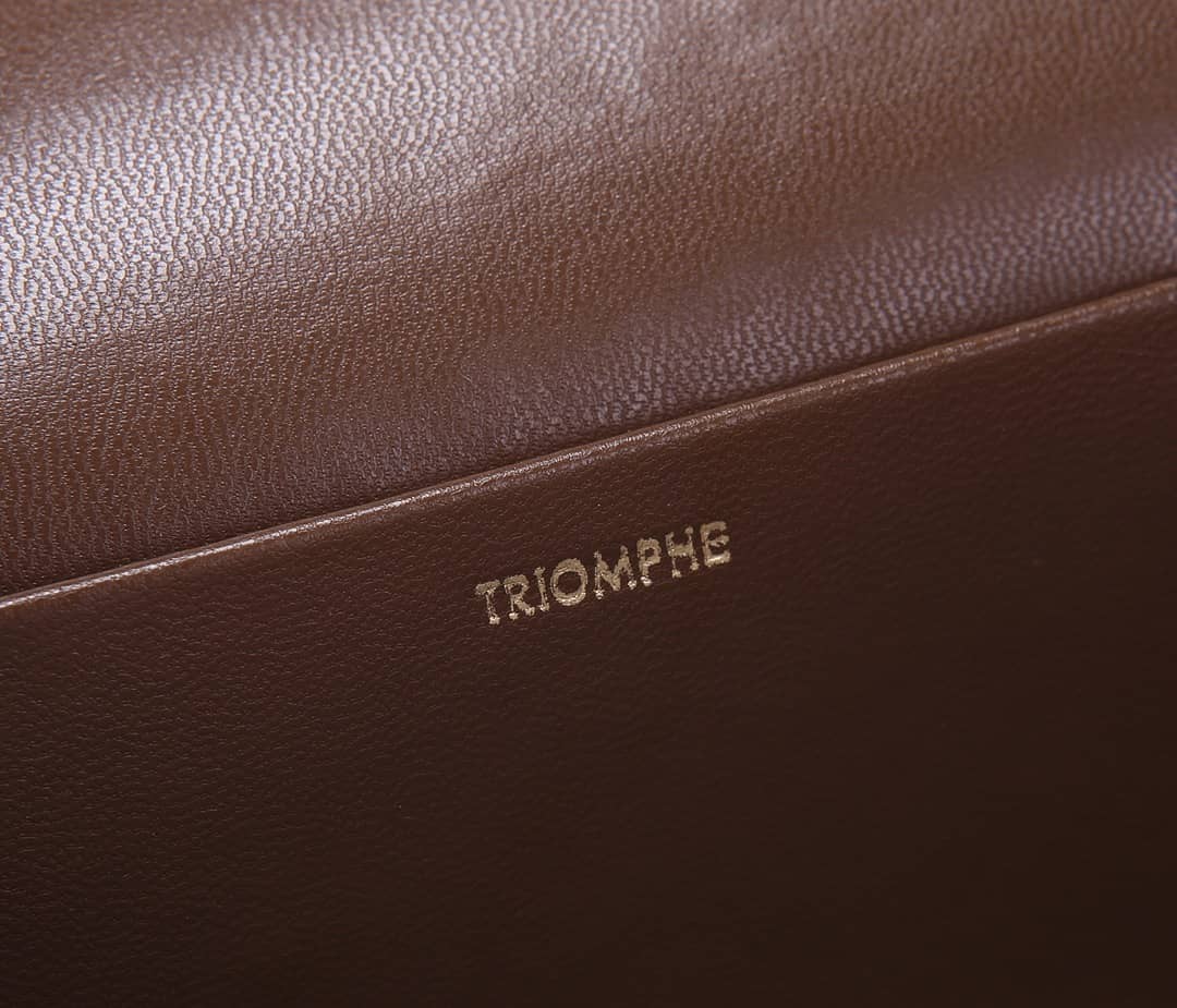 Ce1i*e Bag Dupe Triomphe Micro Luggage