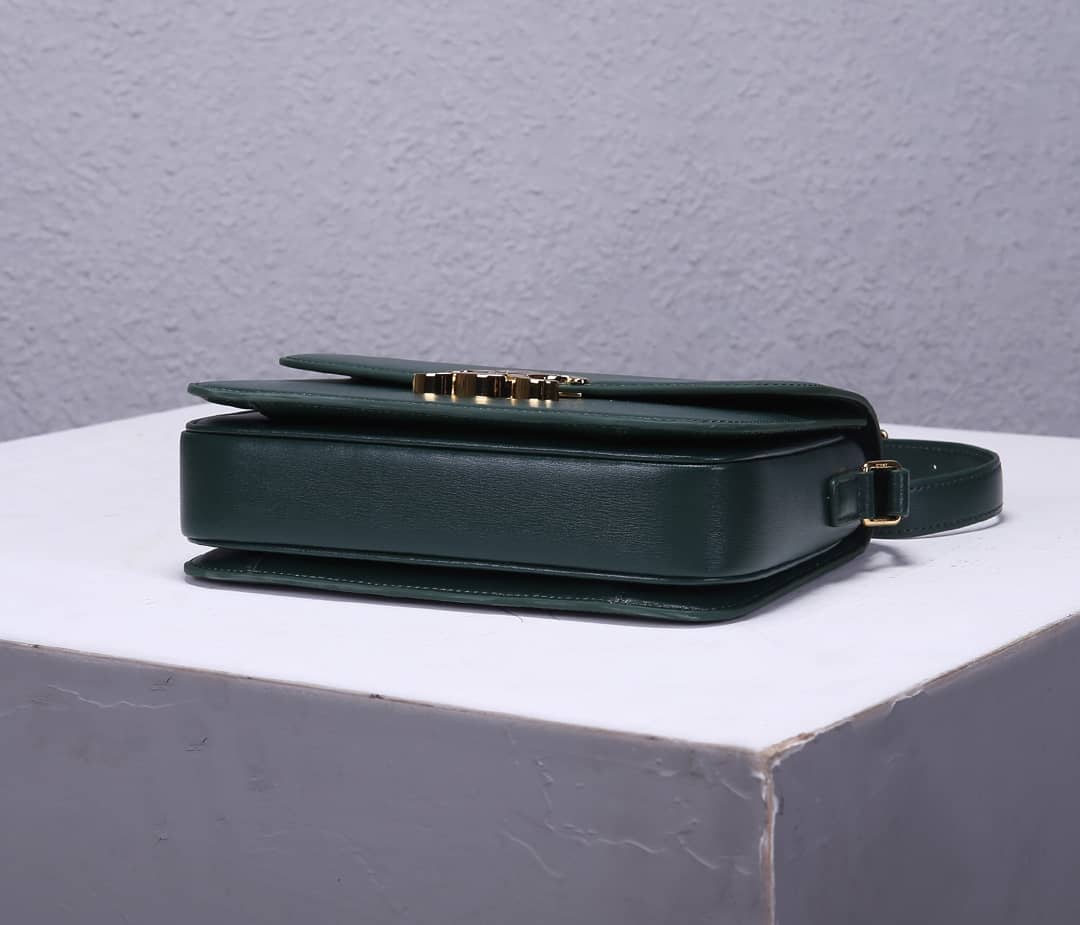 Ce1i*e Bag Dupe Triomphe Micro Luggage
