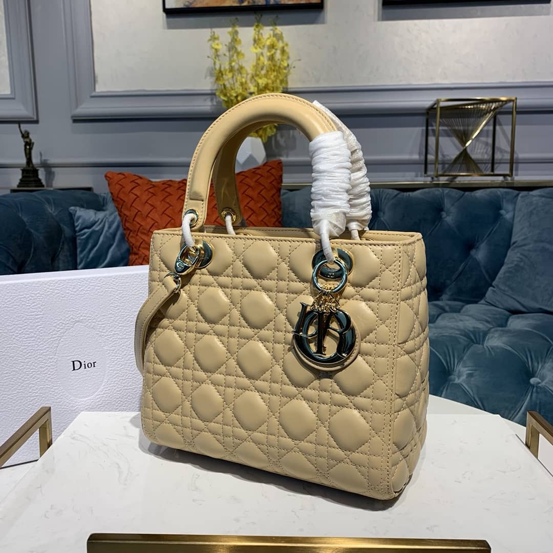 Chr1st1an D10r Lady D10r 24CM Replica Bag