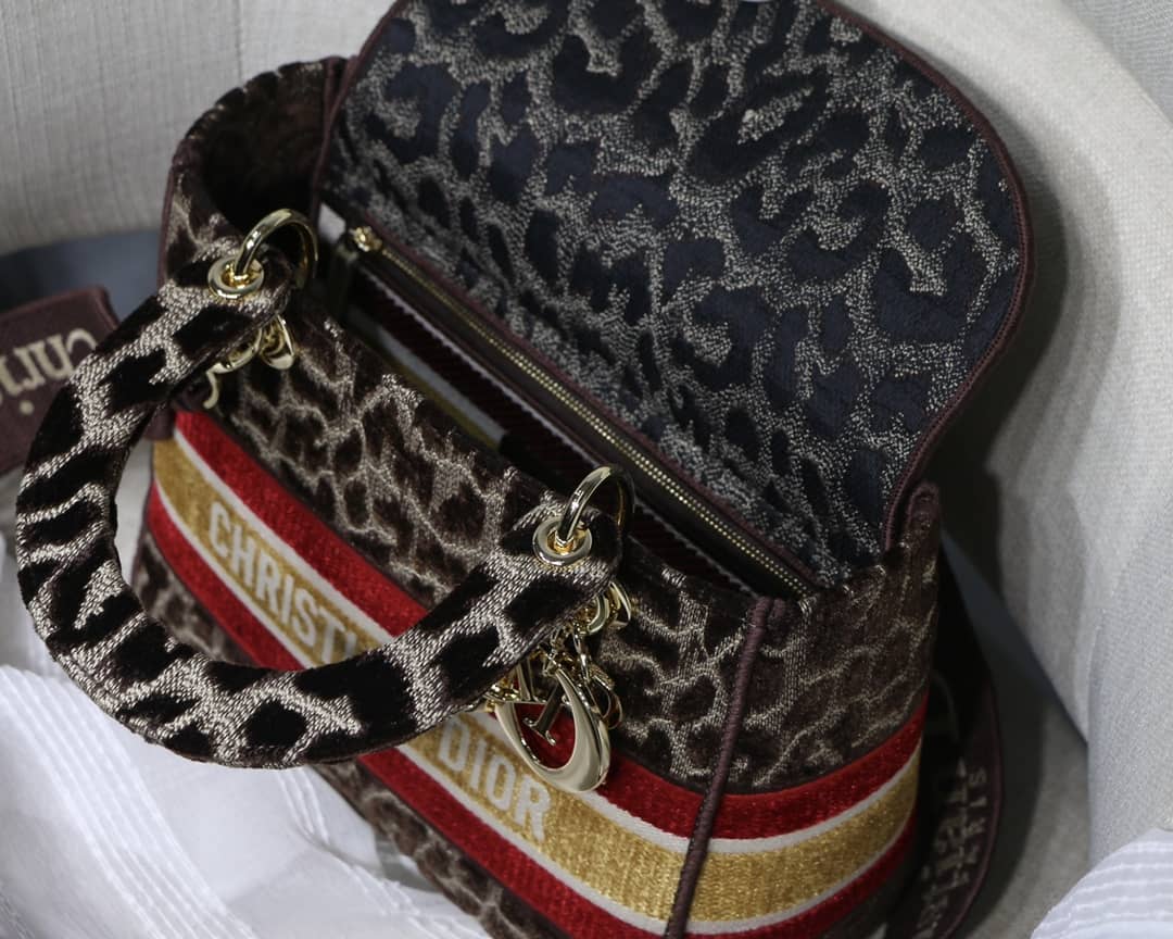 Lady D10r Dupe 24CM Paisley Embroidery Lady D-Lite Bag(ColaReps)