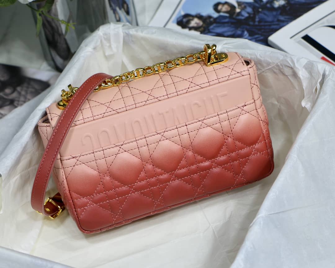 Chr1st1an D10r Caro Replica Bag