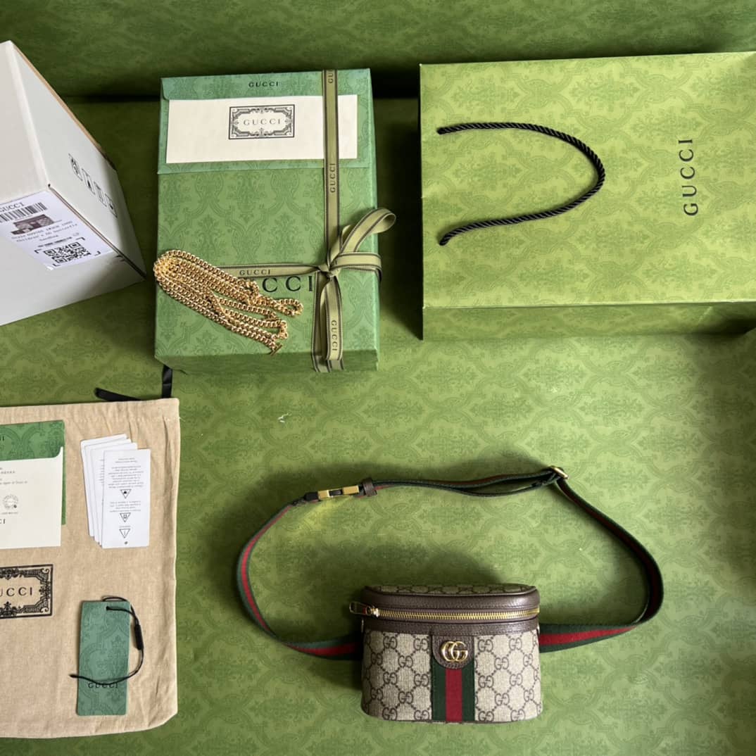 Best Replica Gvc*1 Ophidia With Web 699765 Replica Belt Bag(ColaReps)