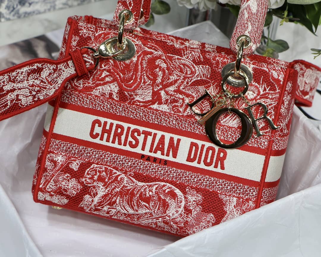 Lady D10r Dupe 24CM Paisley Embroidery Lady D-Lite Bag