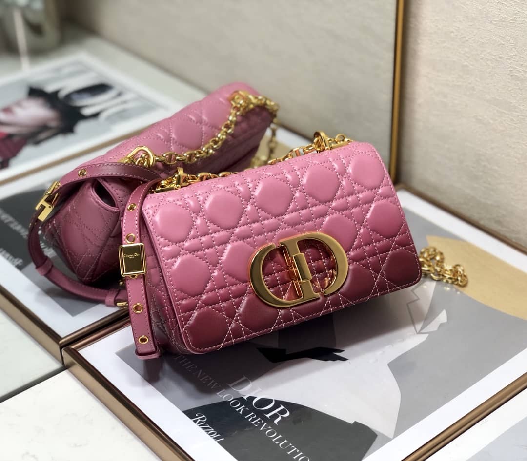 Chr1st1an D10r Small D10r Caro Replica Bag
