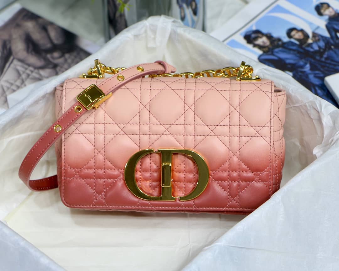 Chr1st1an D10r Caro Replica Bag