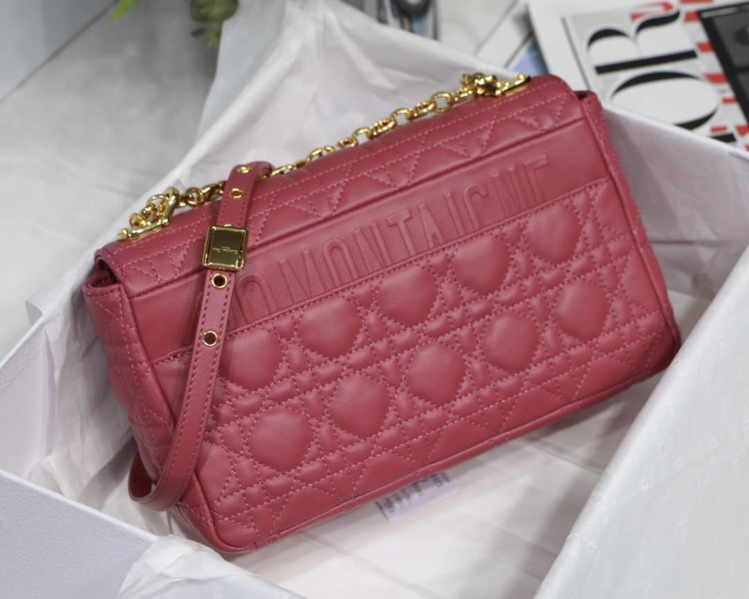 D10r Dupe Caro Bag