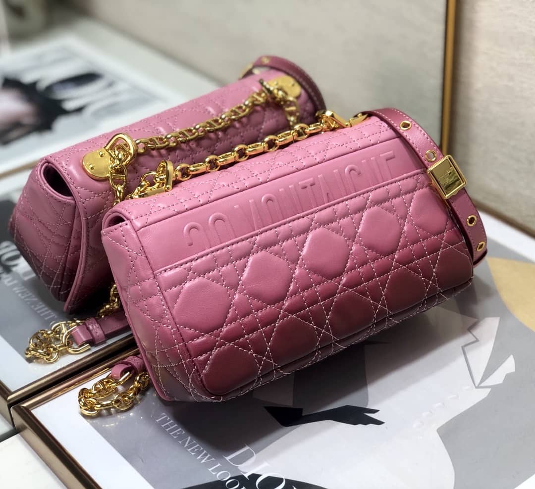 Chr1st1an D10r Small D10r Caro Replica Bag
