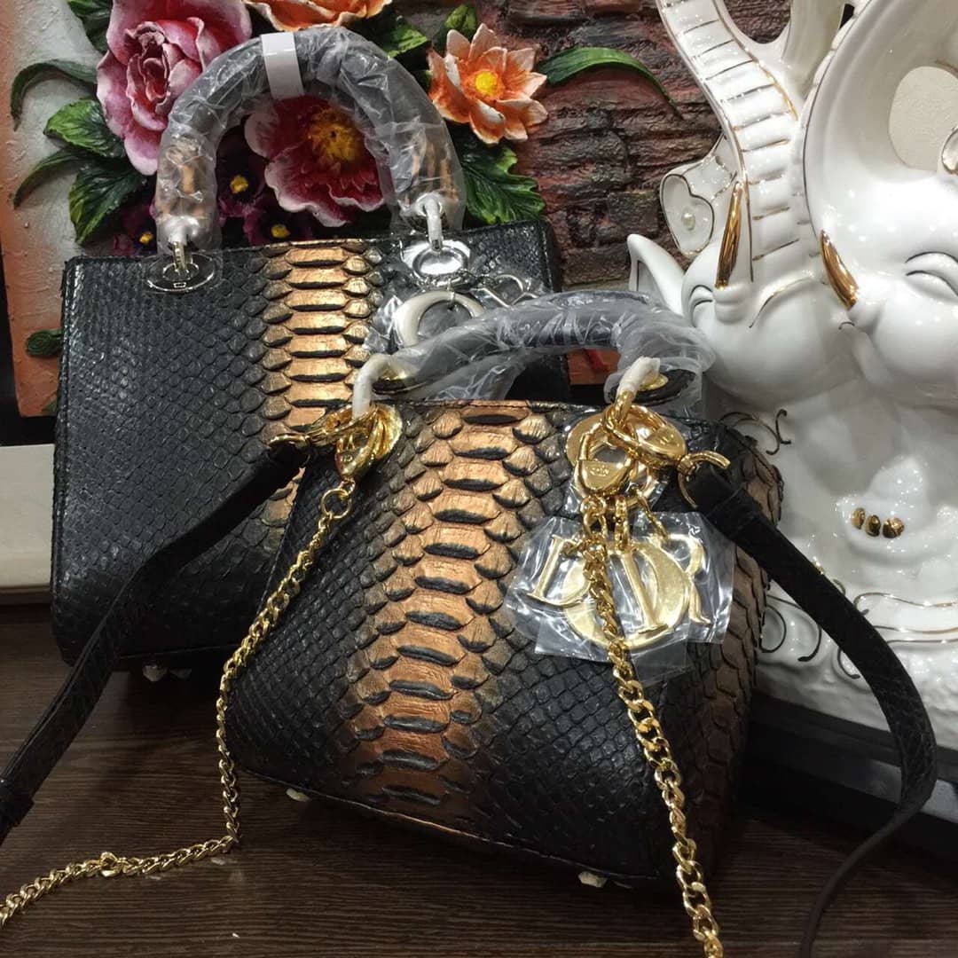 Chr1st1an D10r Lady D10r 24CM Replica Bag