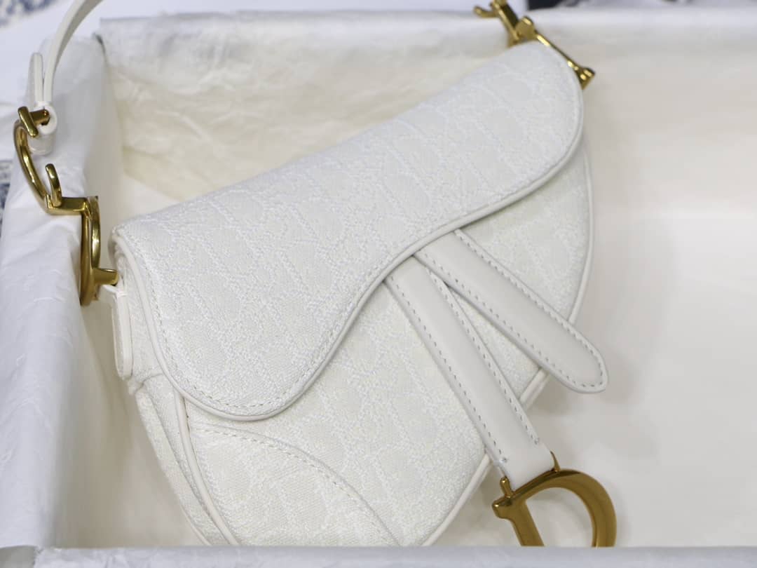 Chr1st1an D10r Replica Saddle Bag