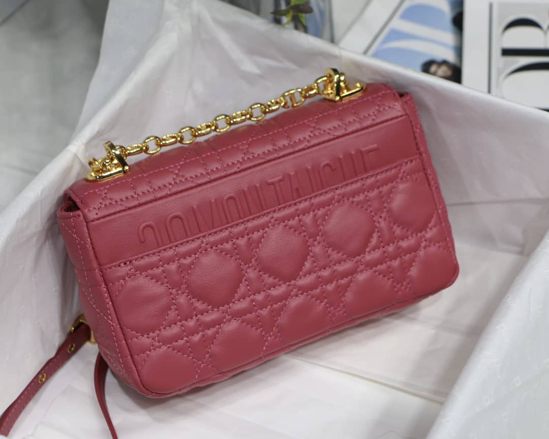 Chr1st1an D10r Caro Replica Bag