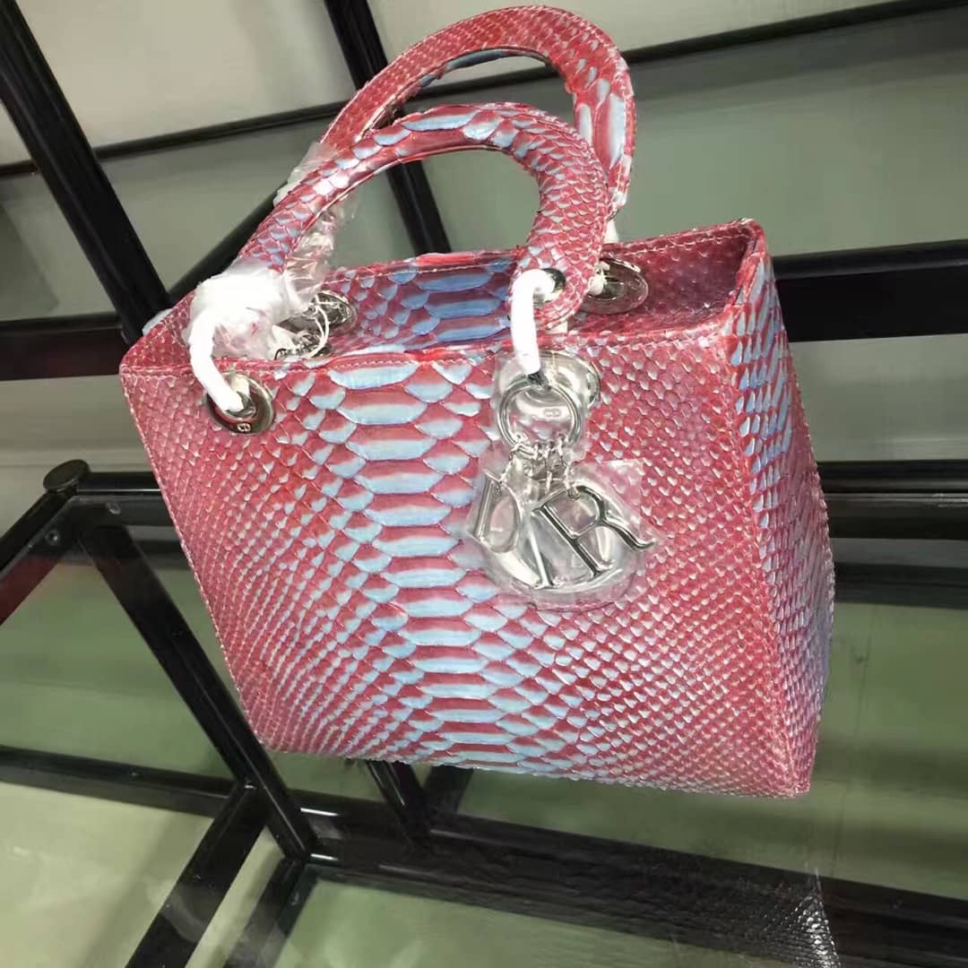 Chr1st1an D10r Lady D10r 24CM Replica Bag