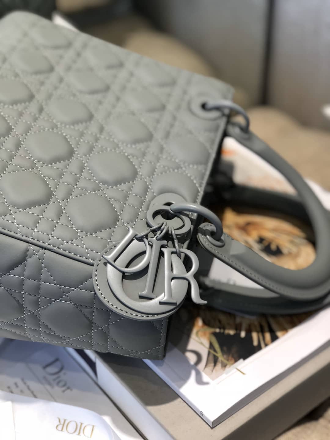 Chr1st1an D10r Lady D10r 24CM Replica Bag