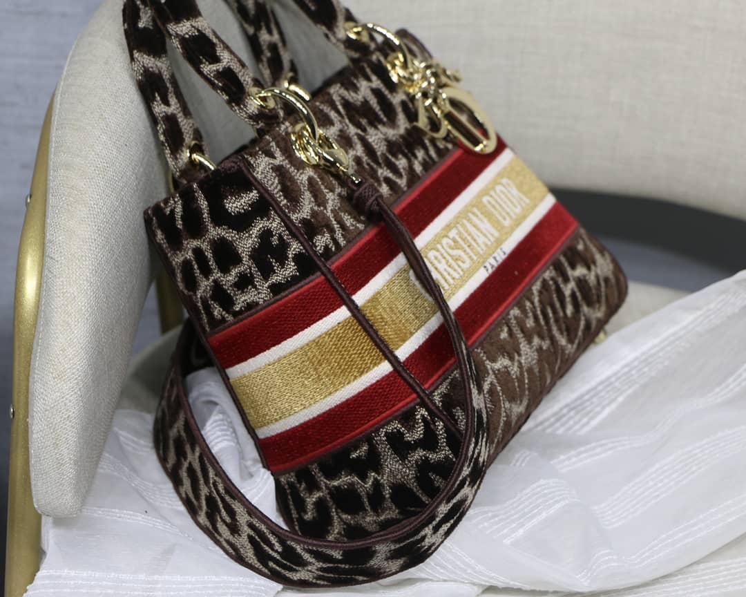 Lady D10r Dupe 24CM Paisley Embroidery Lady D-Lite Bag(ColaReps)