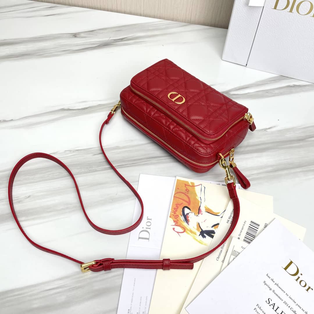 Chr1st1an D10r Caro Double Calfskin Pouch