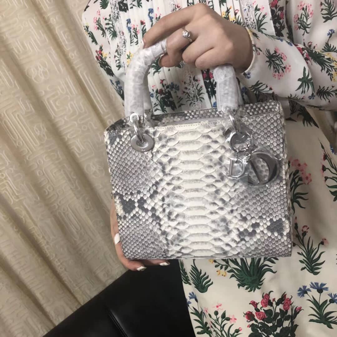 Chr1st1an D10r Lady D10r 24CM Replica Bag