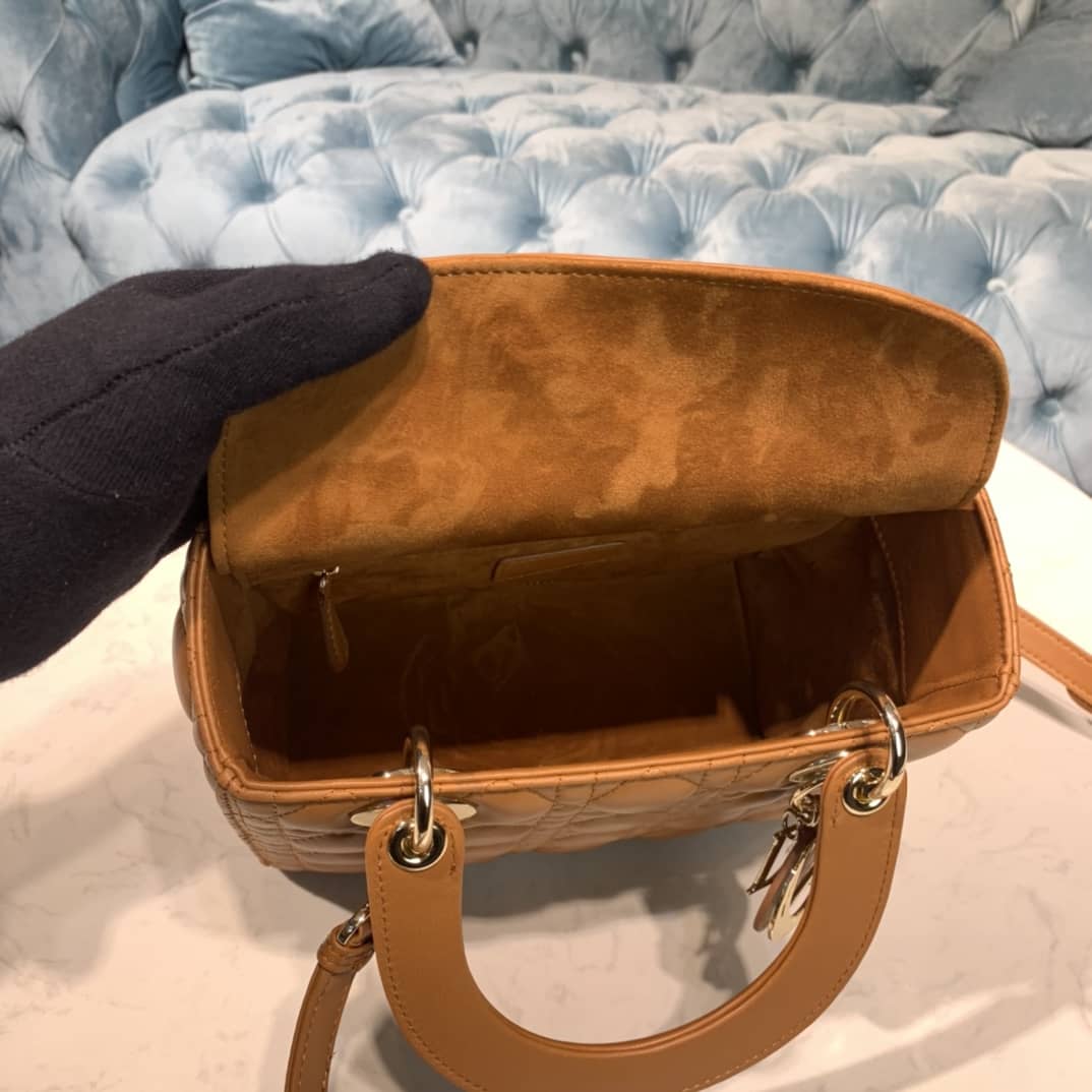 Lady D10r Dupe 24CM Replica Bag(Cola)