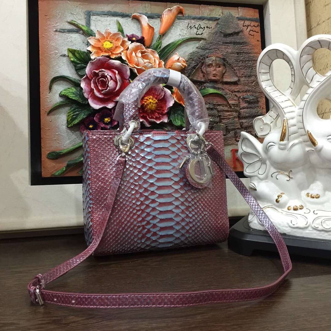 Chr1st1an D10r Lady D10r 24CM Replica Bag