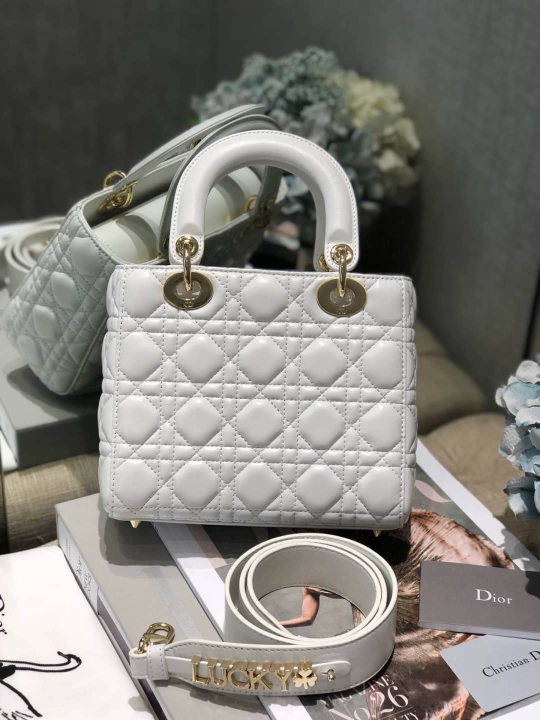 Chr1st1an D10r Lady D10r 20CM Replica Bag
