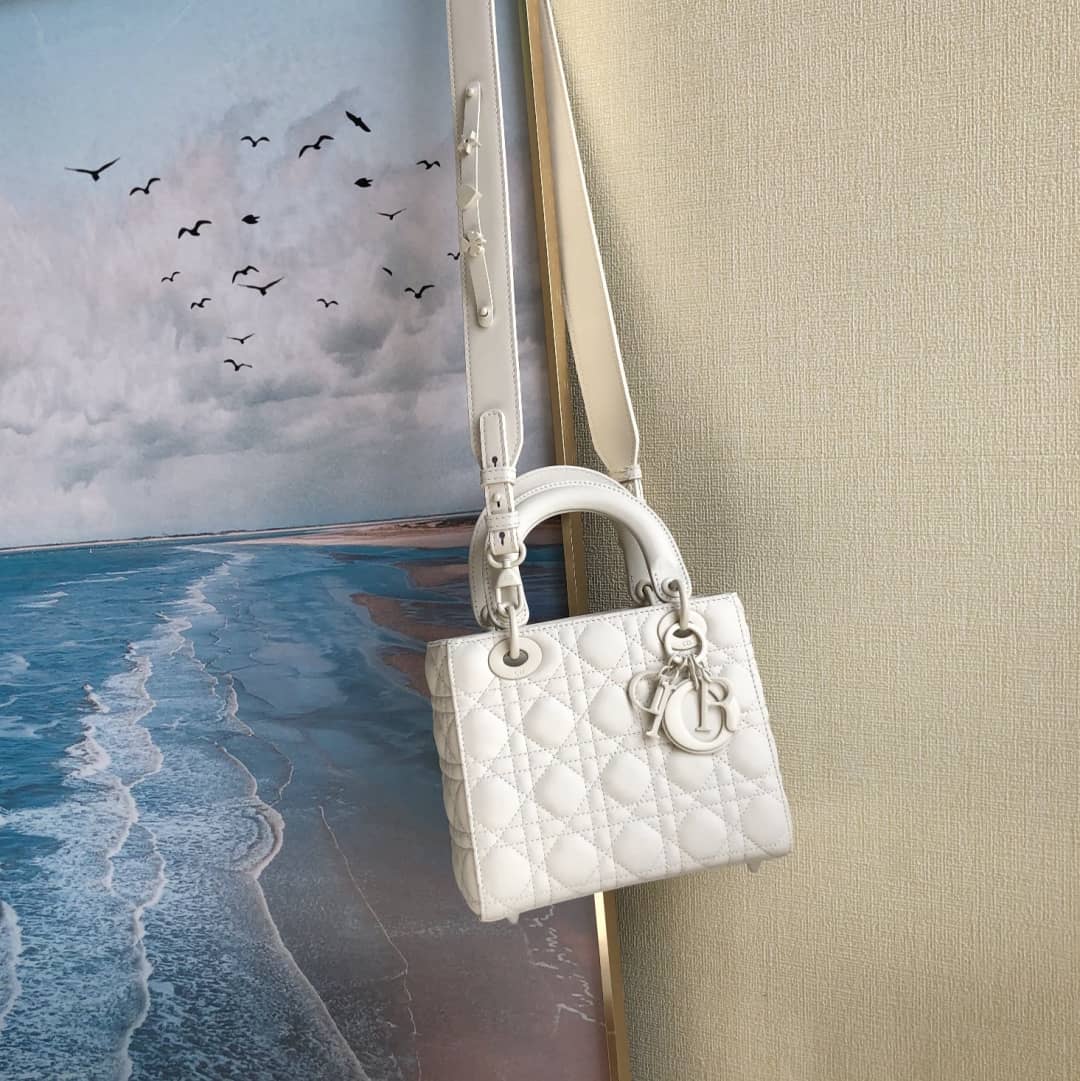Chr1st1an D10r Lady D10r 20CM Replica Bag
