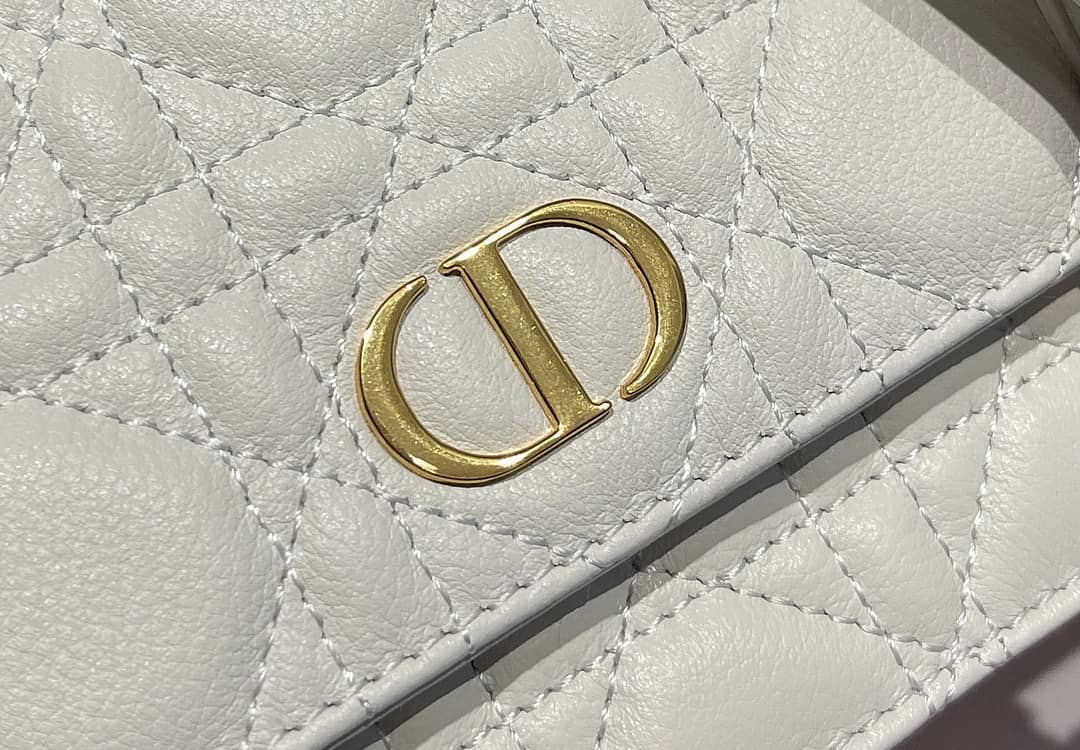 D10r Dupe Caro Chain Belt Pouch