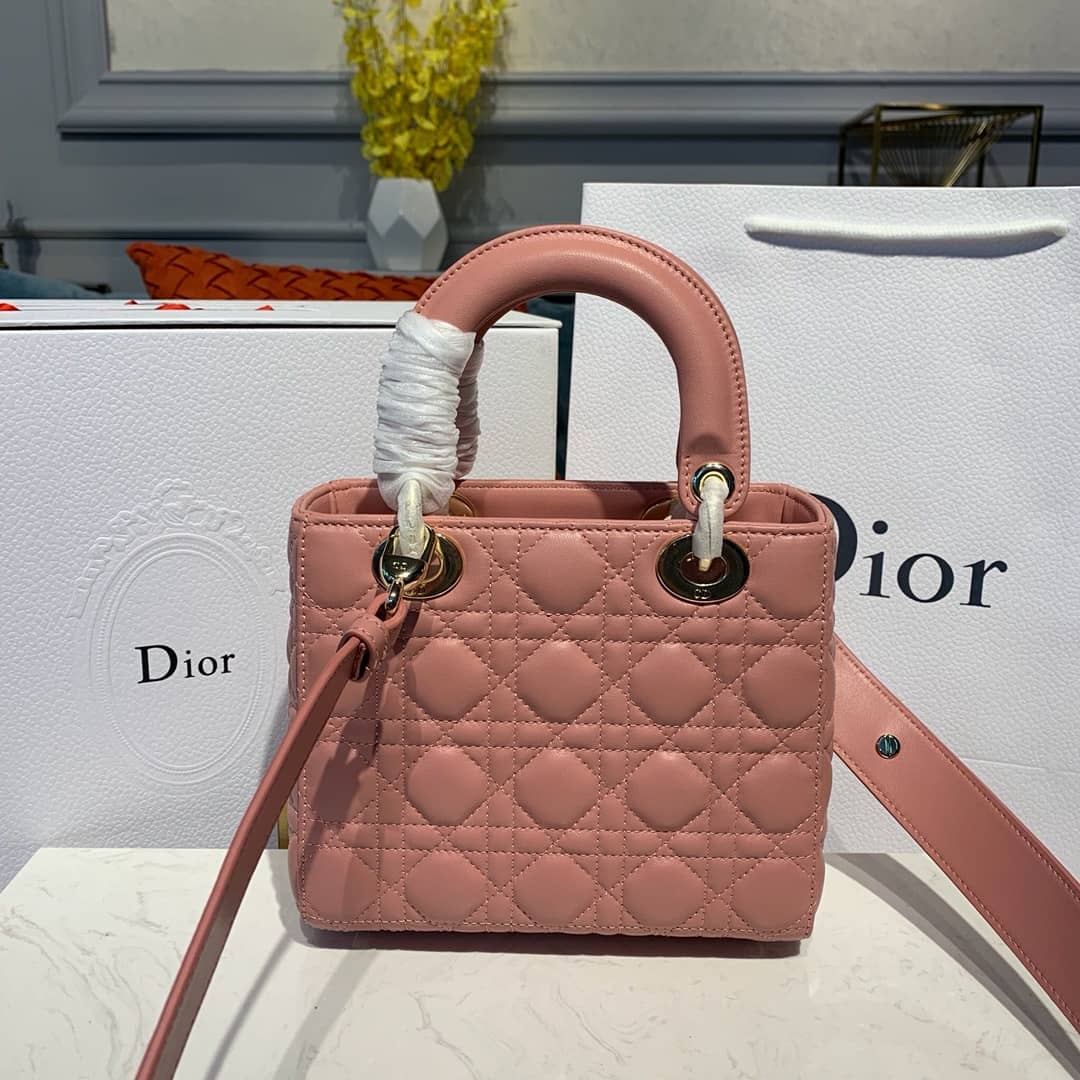 Chr1st1an D10r Lady D10r 20CM Replica Bag