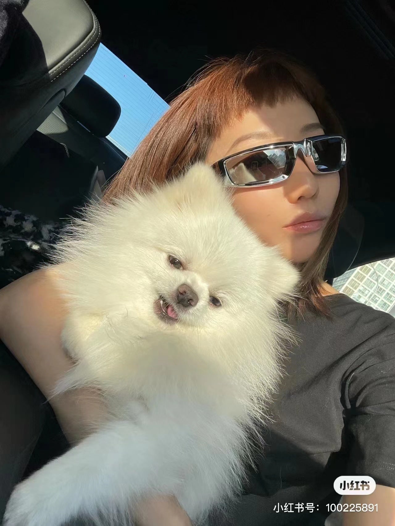 Pra*a Sunglasses