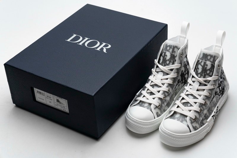 Converse Dupes D10r B23 Oblique Low Top Sneakers