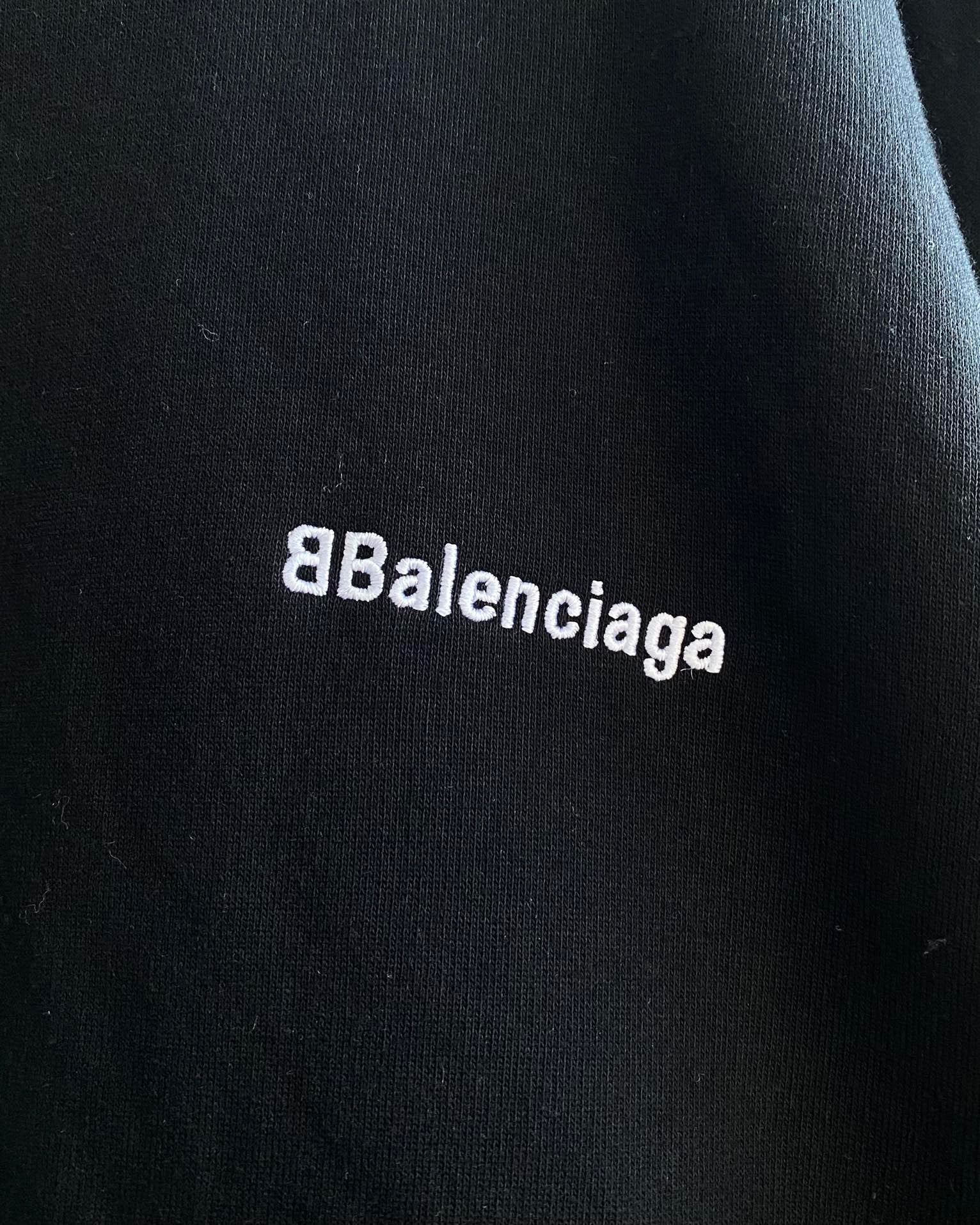 Ba1en*iaga Sweatshirt