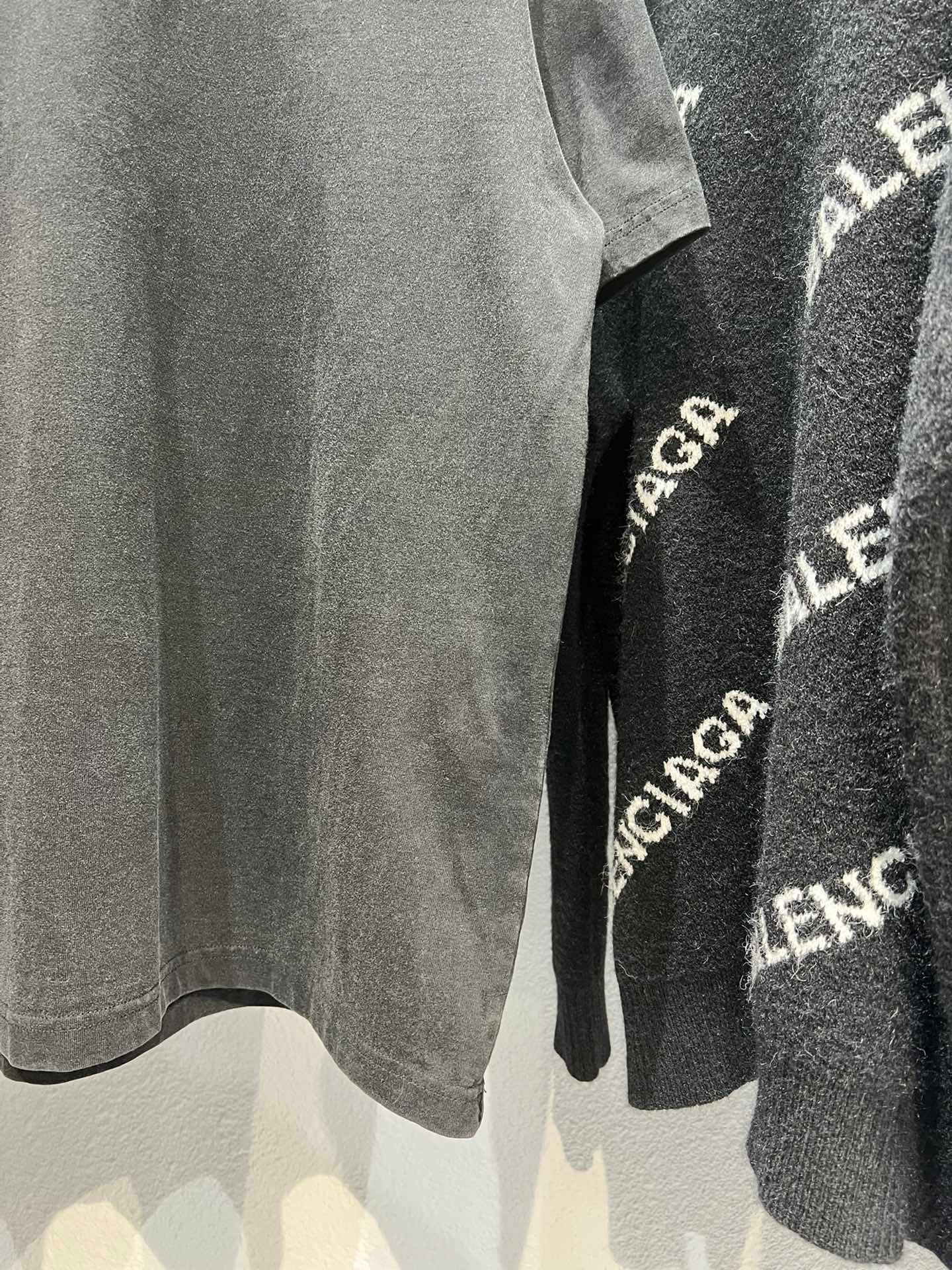 Ba1en*iaga T-shirt