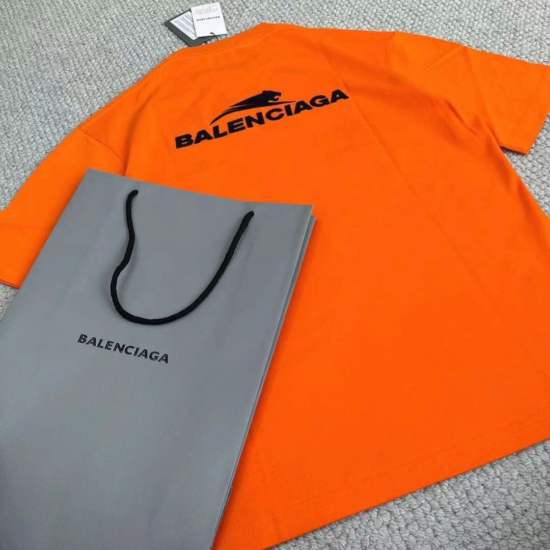 Ba1en*iaga T-shirt