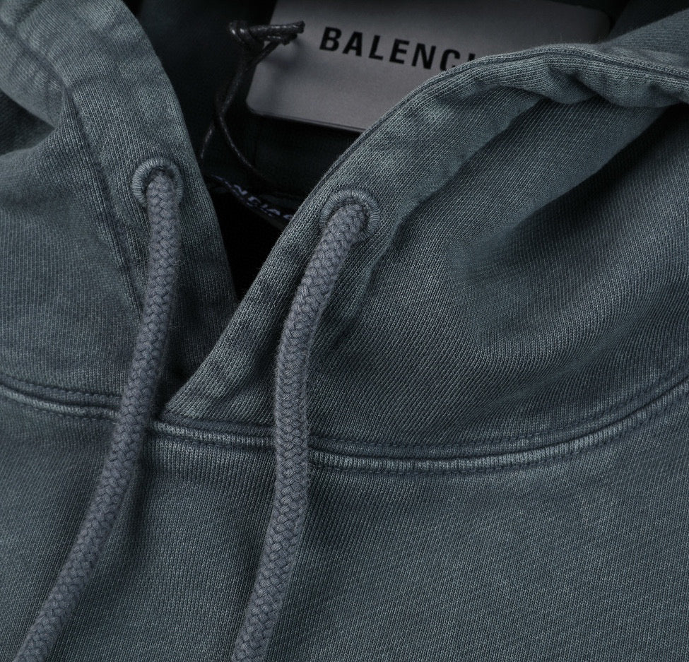 Ba1en*iaga Hoodie