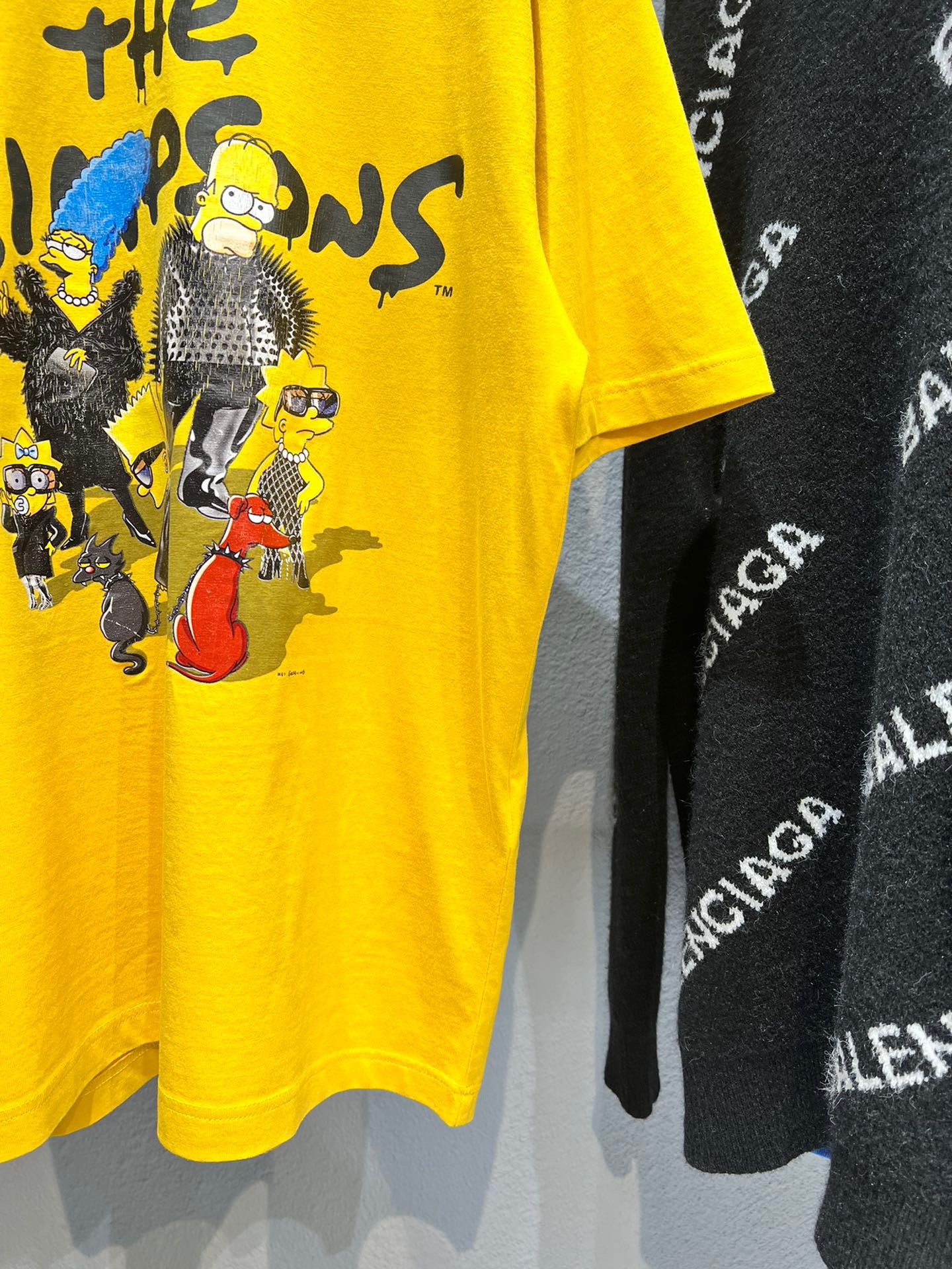 Ba1en*iaga T-shirt