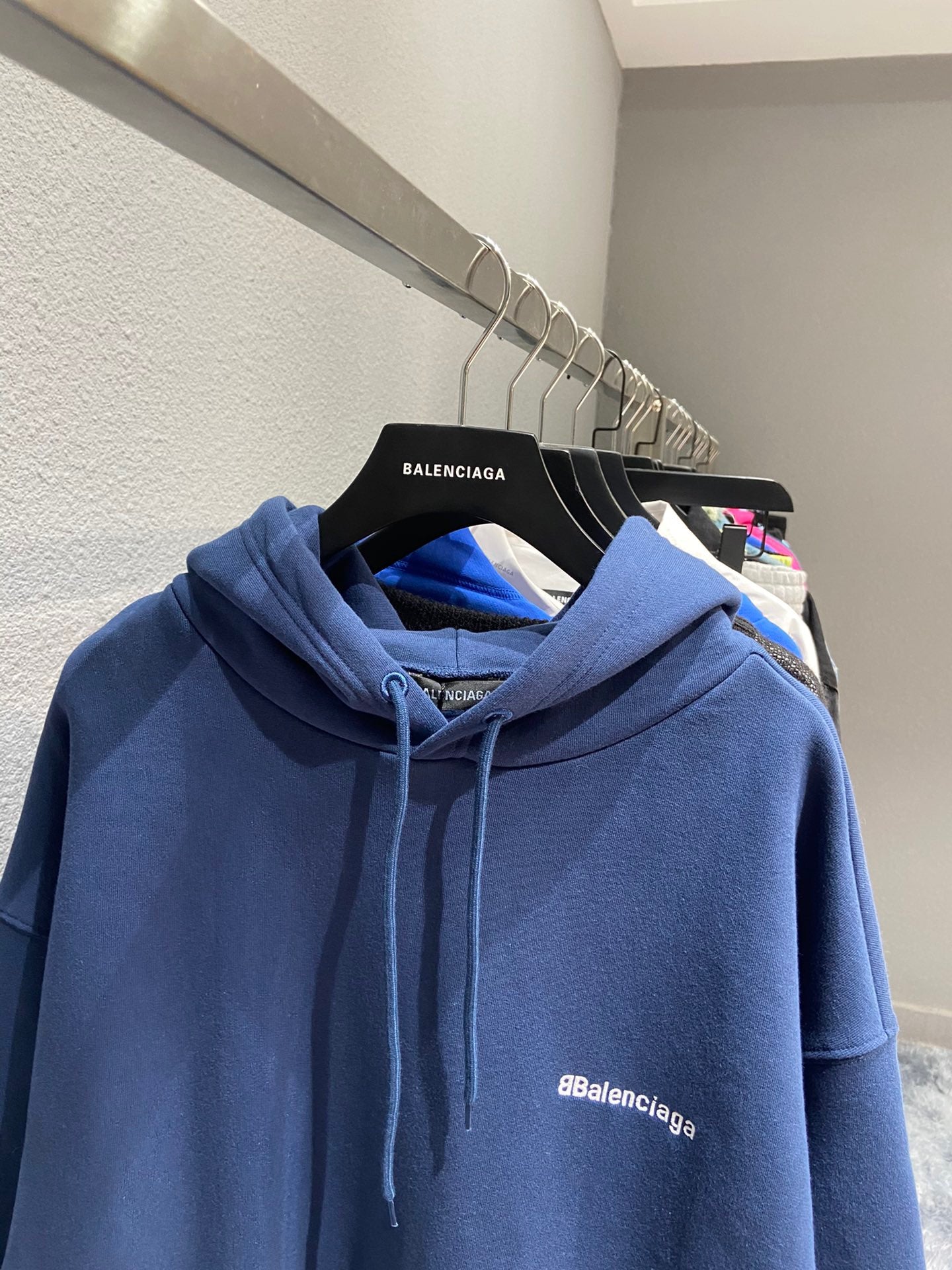 Ba1en*iaga Hoodie