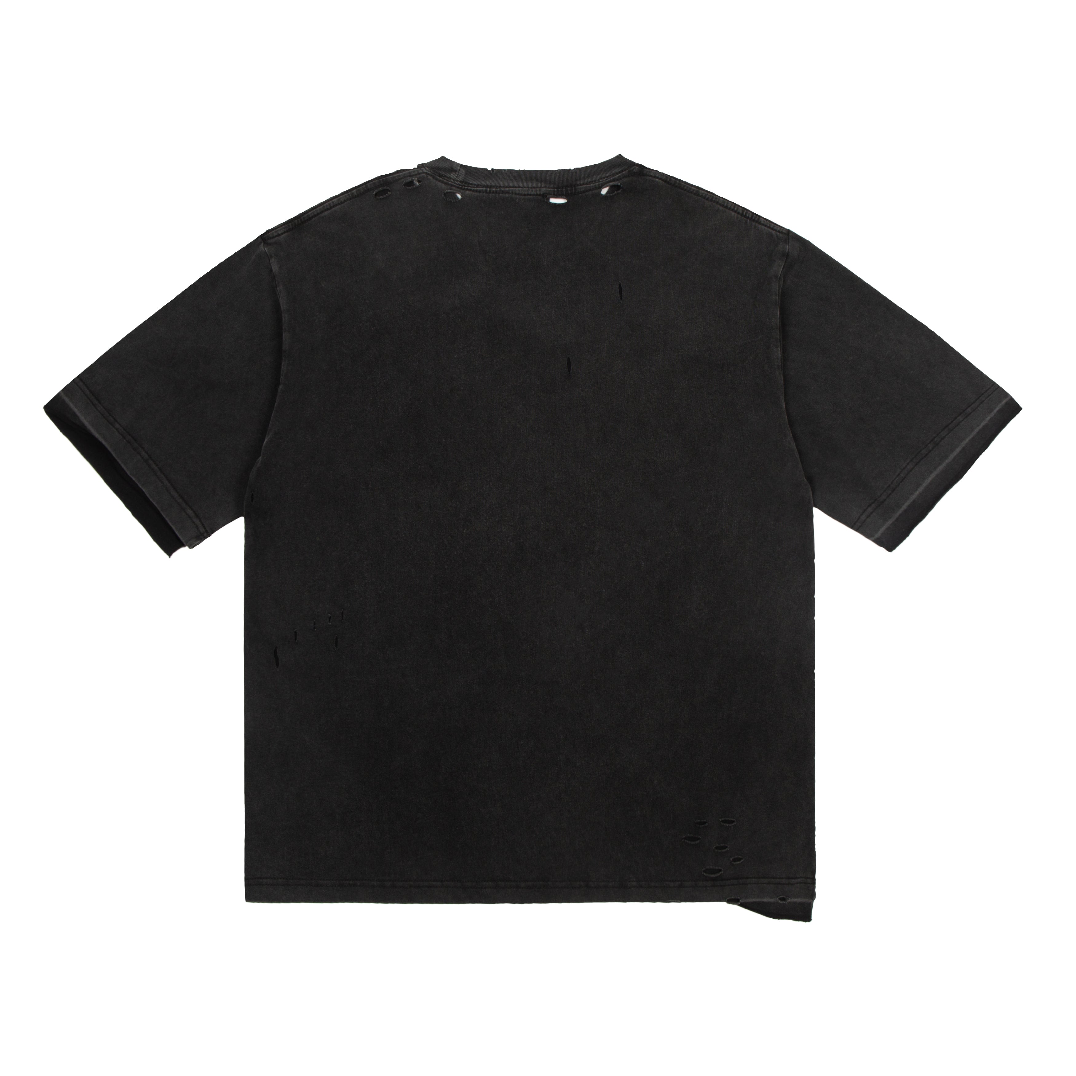 Ba1en*iaga T-shirt